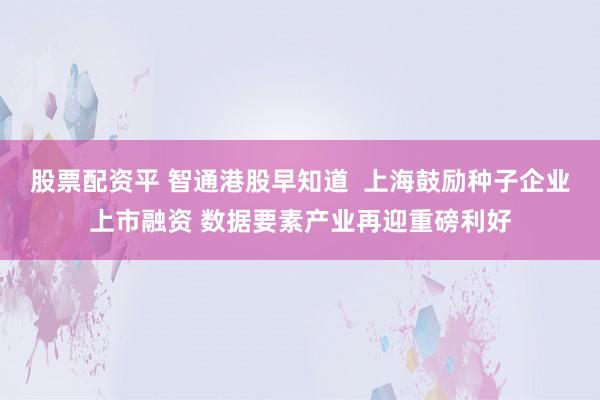 股票配资平 智通港股早知道  上海鼓励种子企业上市融资 数据要素产业再迎重磅利好