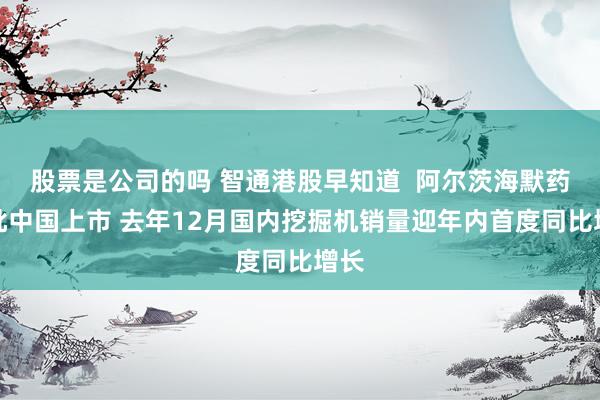 股票是公司的吗 智通港股早知道  阿尔茨海默药获批中国上市 去年12月国内挖掘机销量迎年内首度同比增长